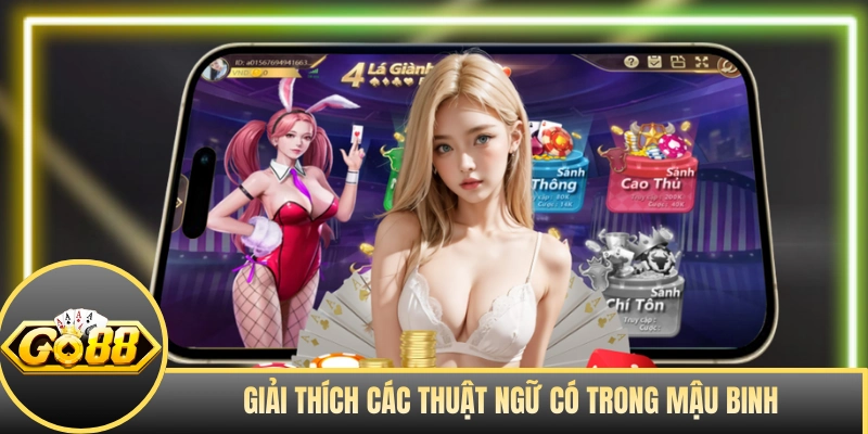 Giải thích các thuật ngữ có trong Mậu Binh