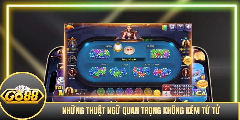 Những thuật ngữ quan trọng không kém tứ tử là gì